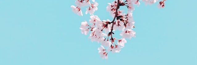 jamesmccowell's profile banner image
