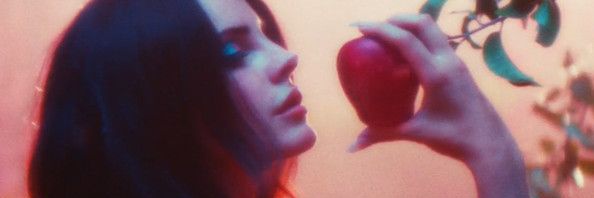 fer banner