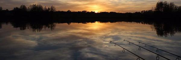 Scott Spence Profile Banner