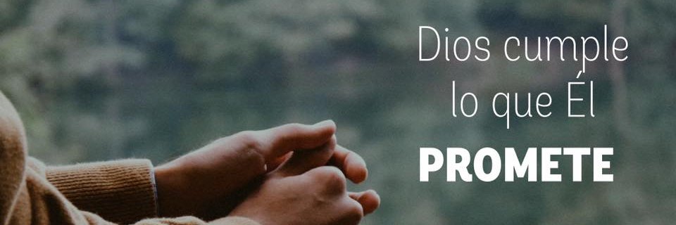 Soraya Valdez banner