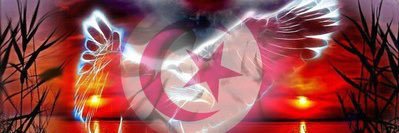 El Nemsss 🇹🇳 banner