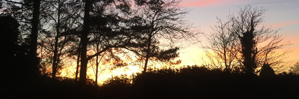 IndigoSkyes's profile banner image