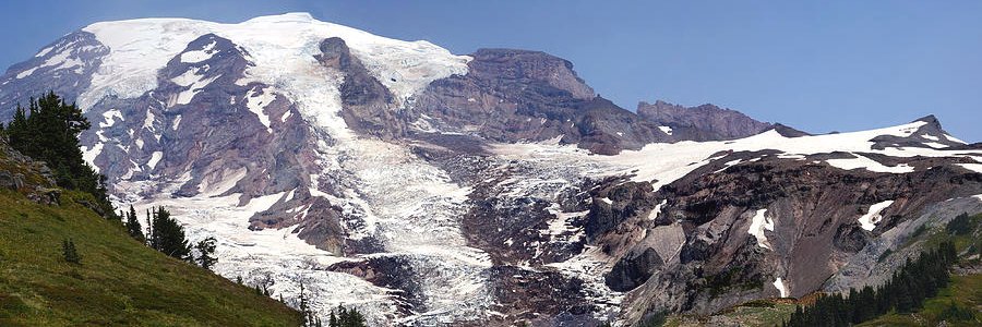 steve estvanik banner