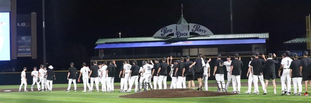 Transy Baseball banner