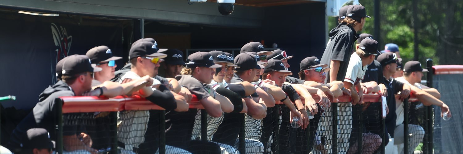 TransyBaseball's profile banner image