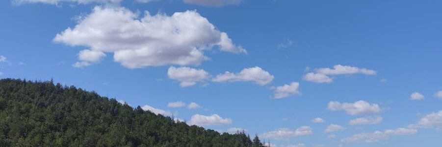 Emre Çalışkan banner