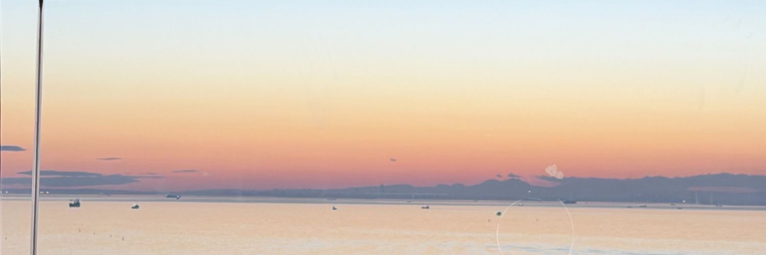 ⓘ banner