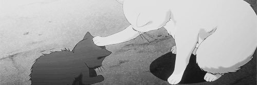 setnxx_'s profile banner image