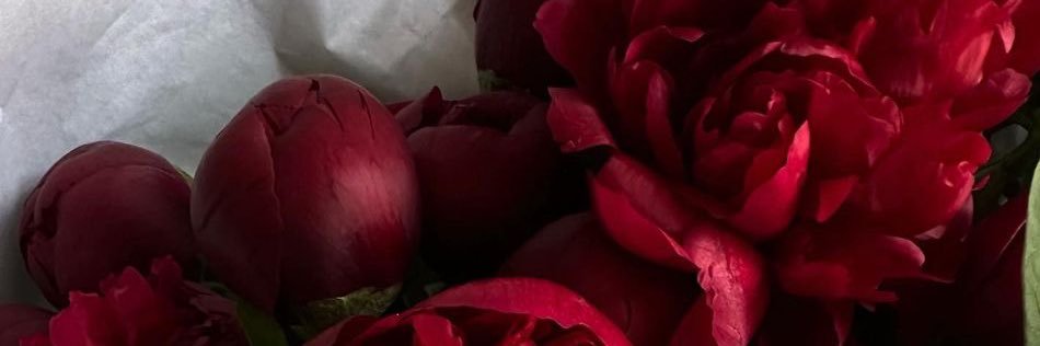 Riray29067's profile banner image