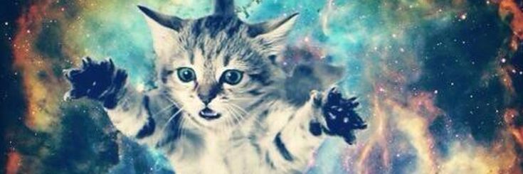 𐔌. ⋮ Jack 🐾 .ᐟ ֹ₊ ꒱ banner