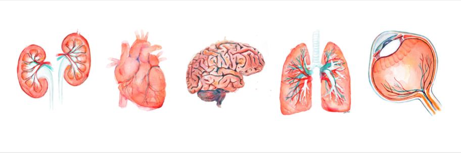 ThePediatricMD's profile banner image