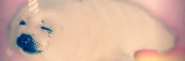 Yum 𐔌՞. .՞𐦯 banner