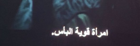 🕊️ banner