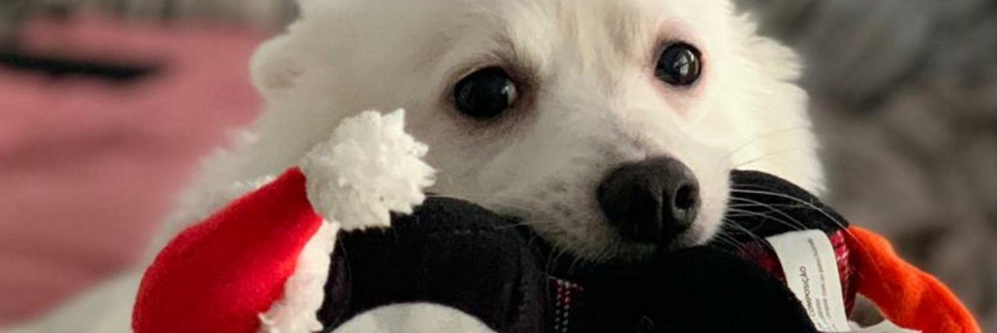 Franjrivera95's profile banner image