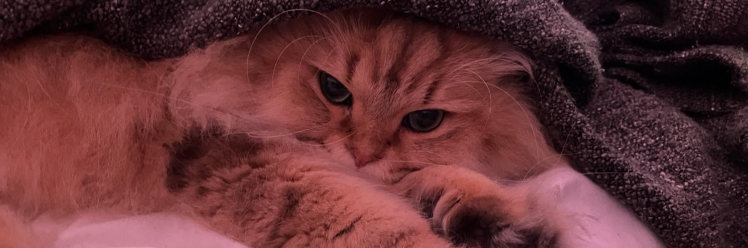 Adrien 🎮UrbanGeek82 banner