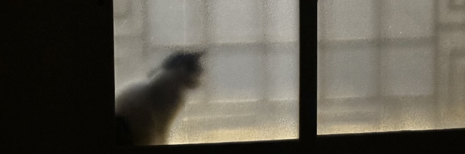 رهوفي/يوم منمن🌟 banner