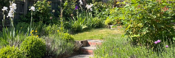 YS☆DB🎶🇯🇵🌹🇬🇧 banner