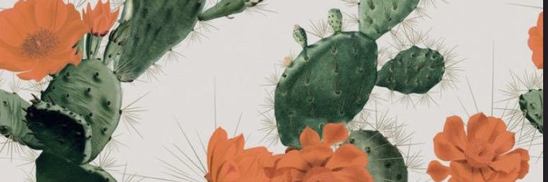 brennmore's profile banner image