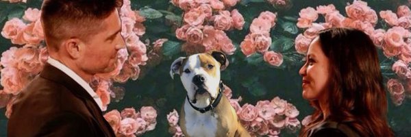 _capturedcastle Profile Banner