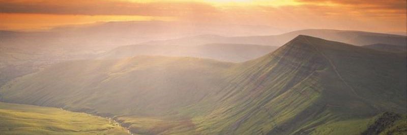 birdlewordle's profile banner image