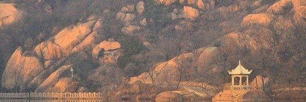 _FORTHESHAOLIN Profile Banner