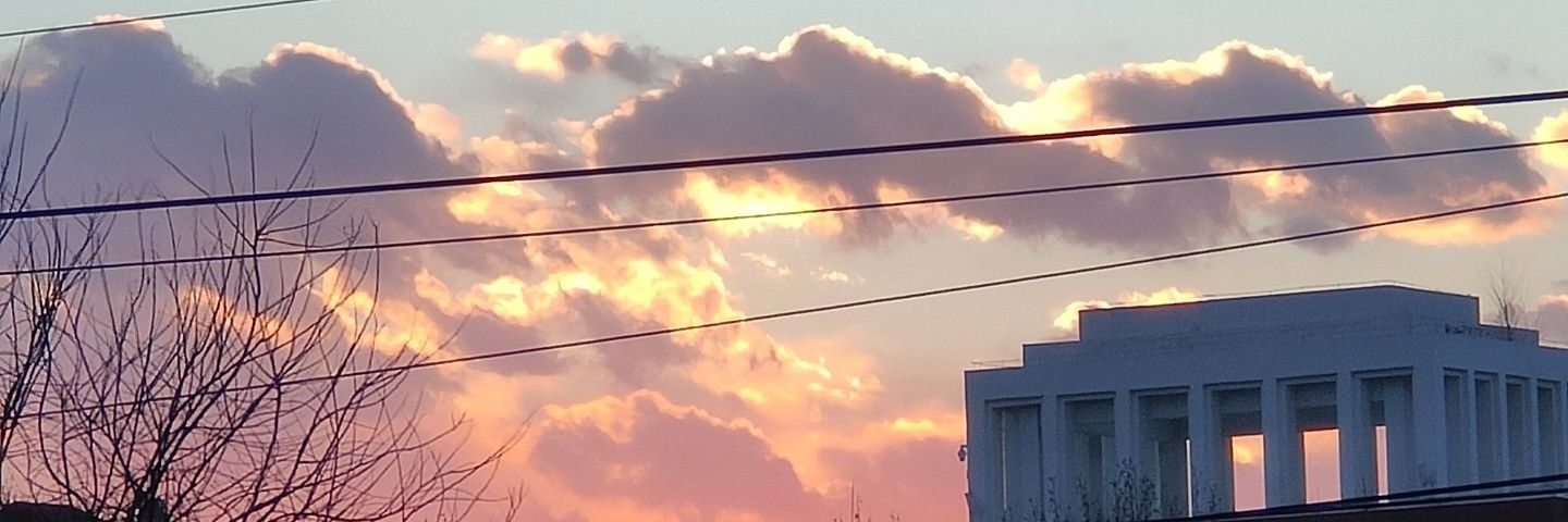 脉星 banner