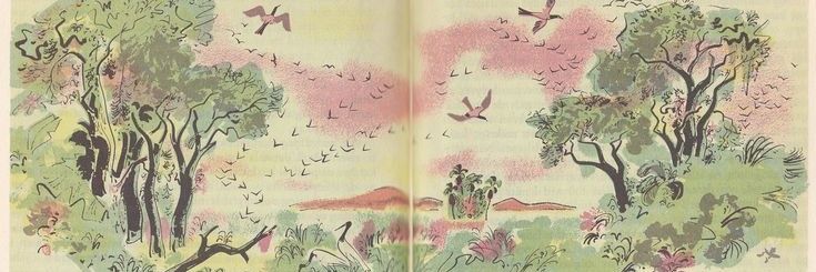 ﹕ 𝄞 ⊰ ଓutton ! ! ⊱ 🎨 ~ 𖦹 banner