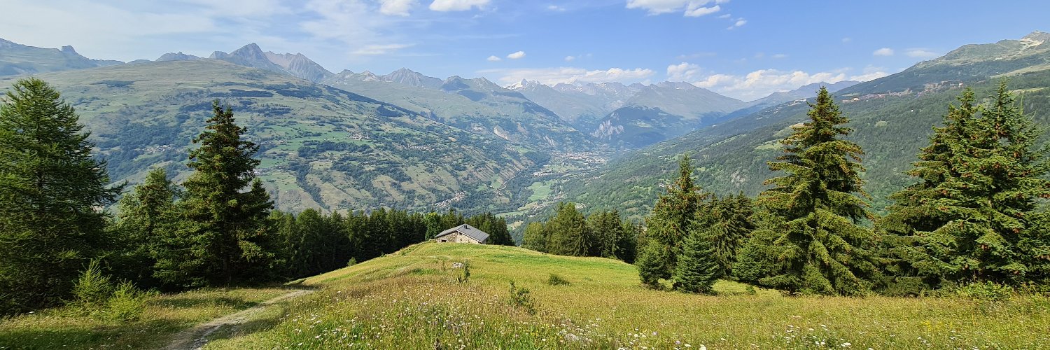 Daniel Broche banner