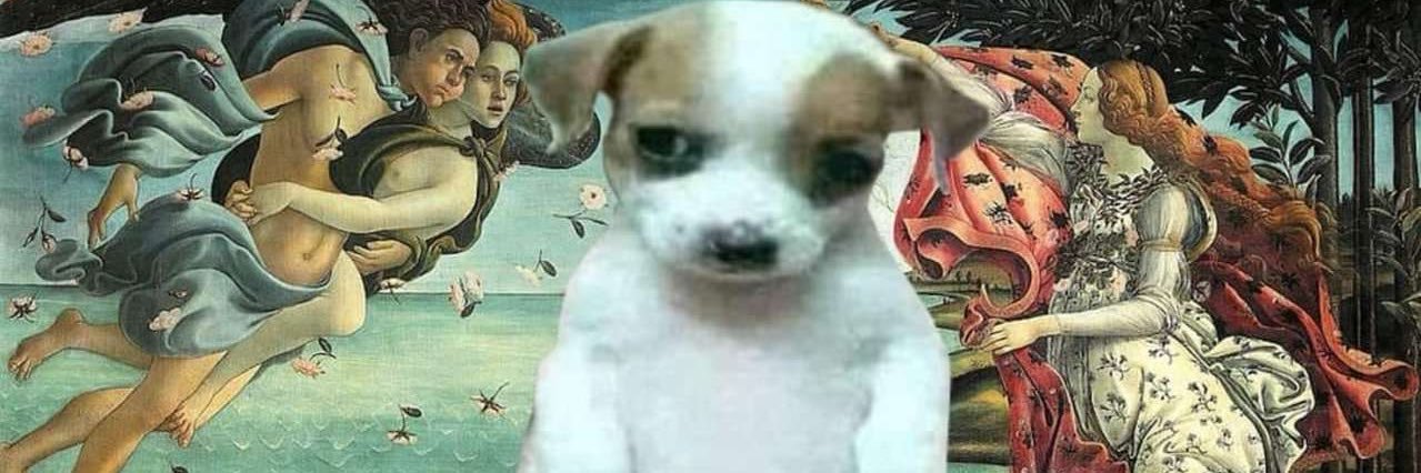 coxinhaluscas's profile banner image