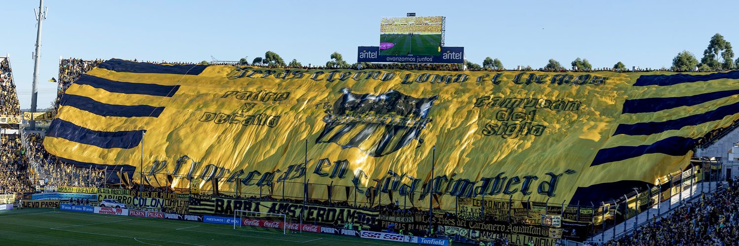 Leo banner