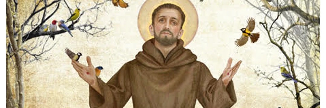 sbrantmeyer's profile banner image