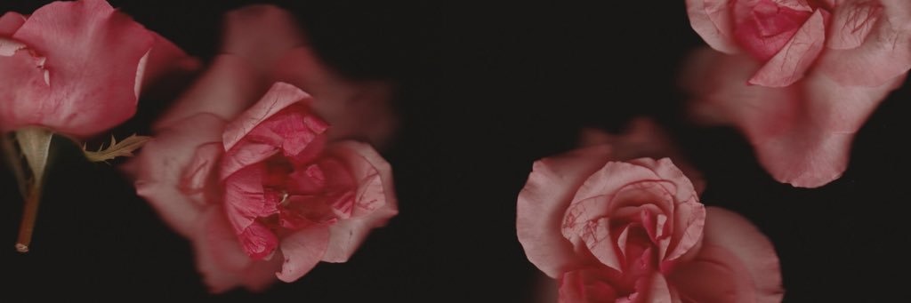 caseymuhs's profile banner image