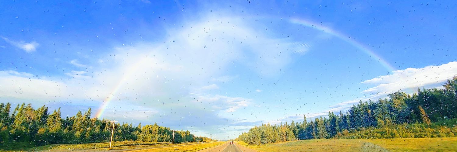 PETROCHINA DIVERSITY HIRE banner