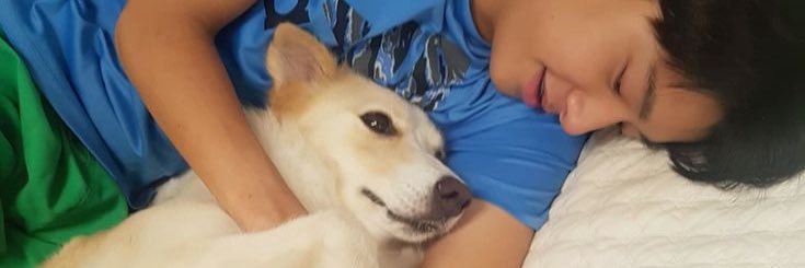 ✌︎ (Ham prince♡) banner