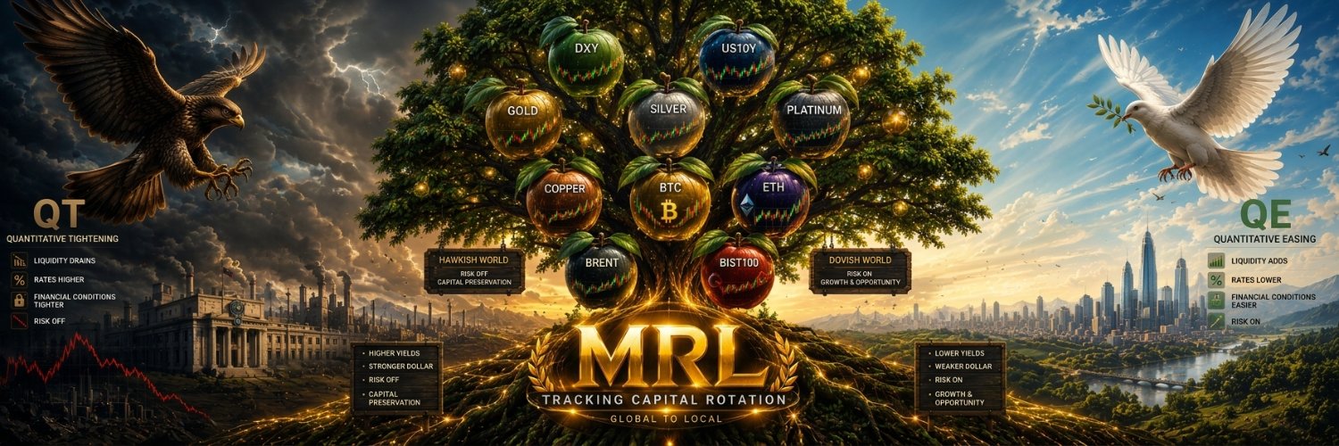 MacroRgmLab's profile banner image