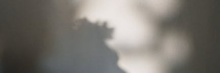 Falks Eleonor banner