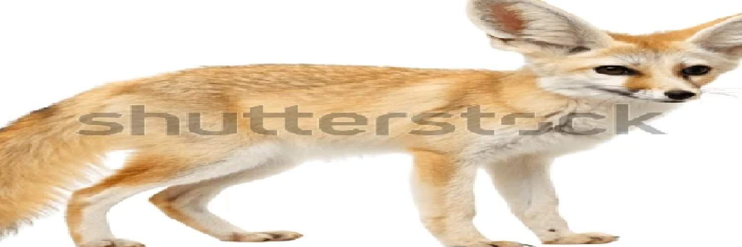 BonbachB15397's profile banner image