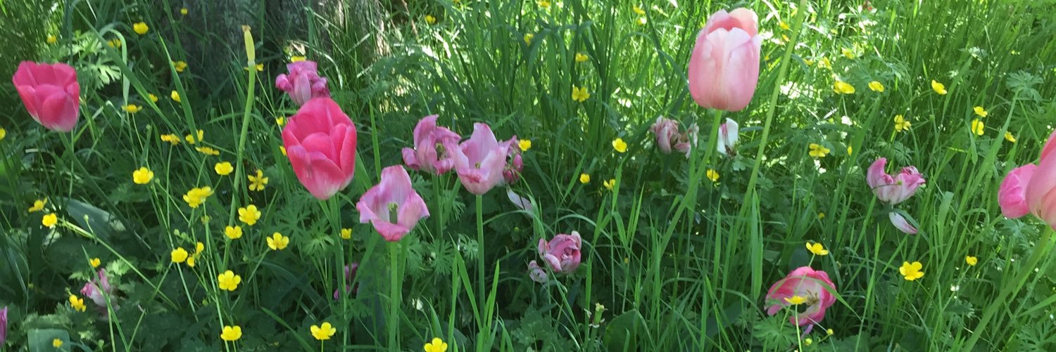 JamiePanyCotterCraig banner
