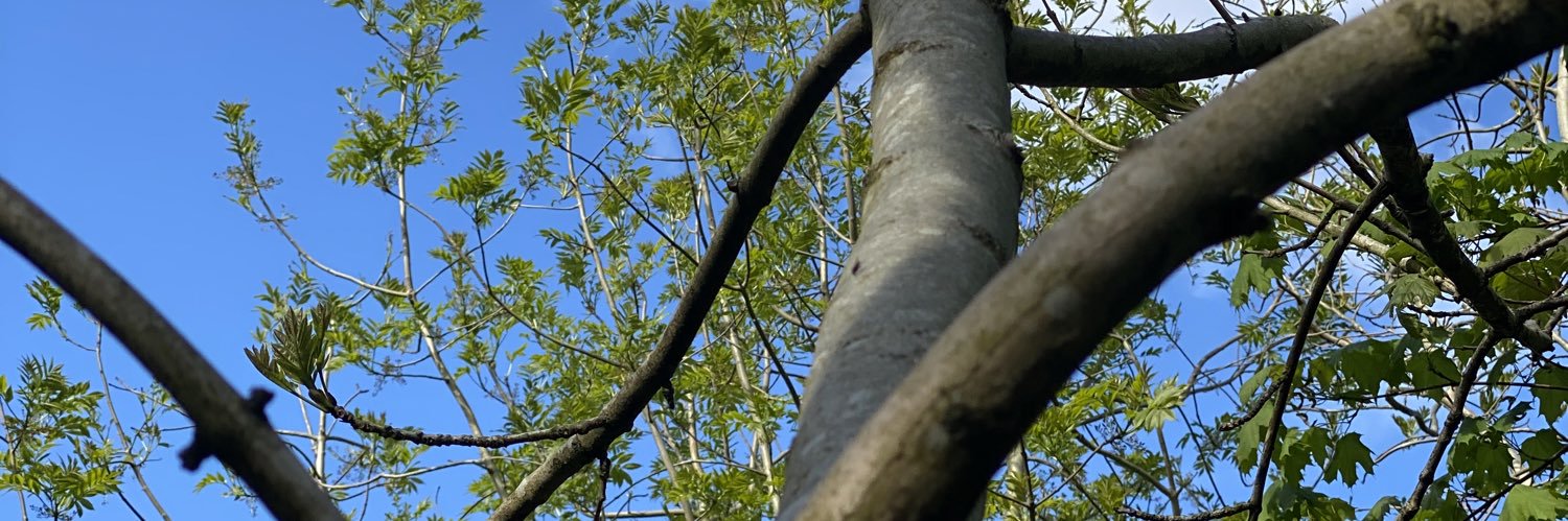 Jonno 🇺🇦❤️ banner