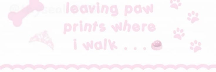Zipzipinyo8065's profile banner image