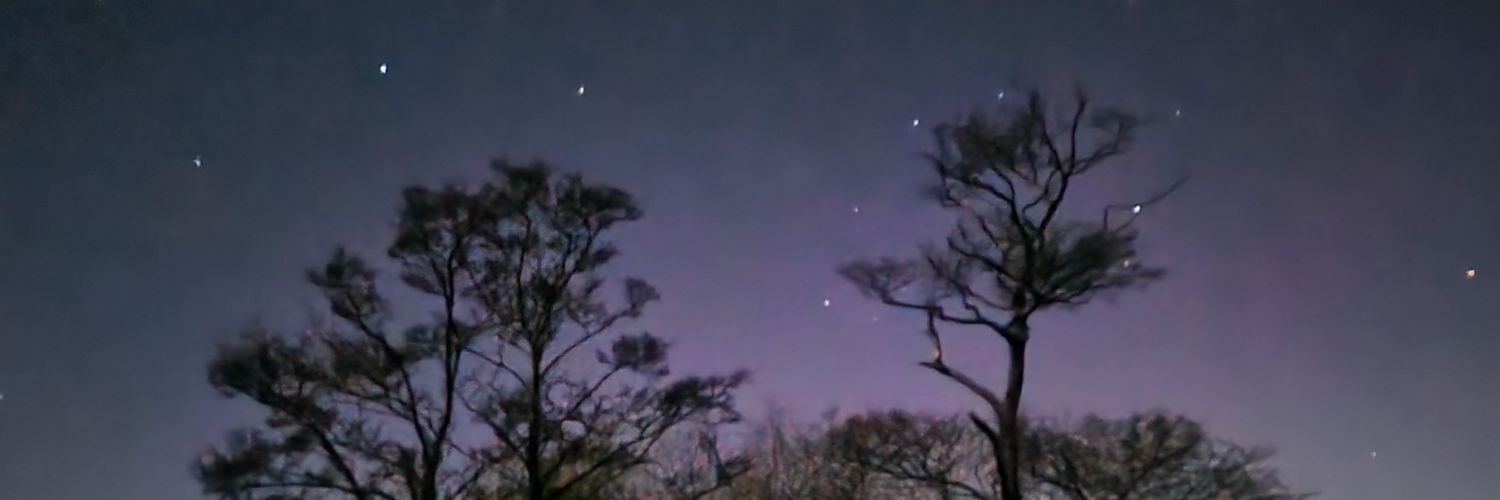 eilidh mcintosh banner