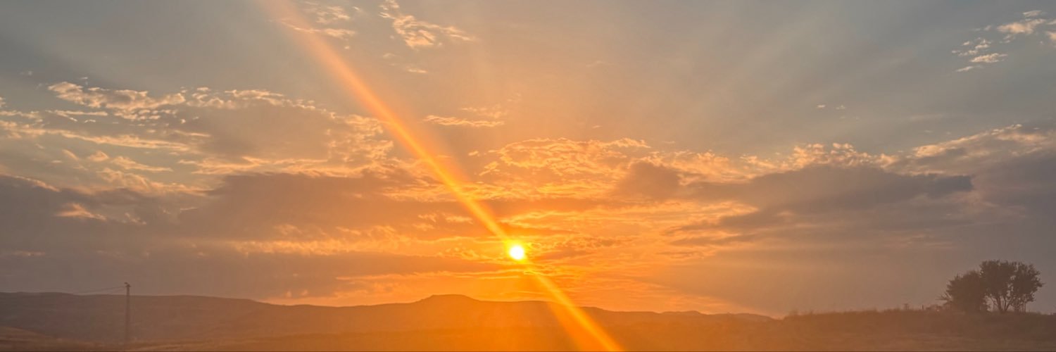 hulyaadakk's profile banner image
