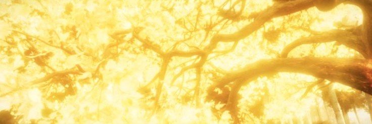 pakaniikan's profile banner image
