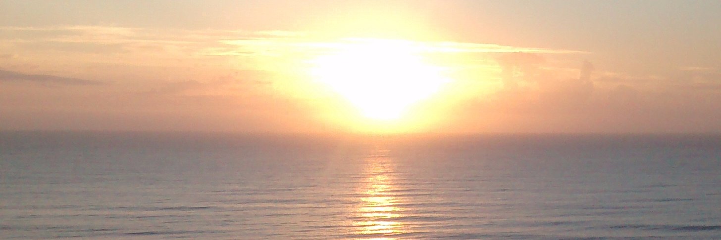 sandmarman's profile banner image