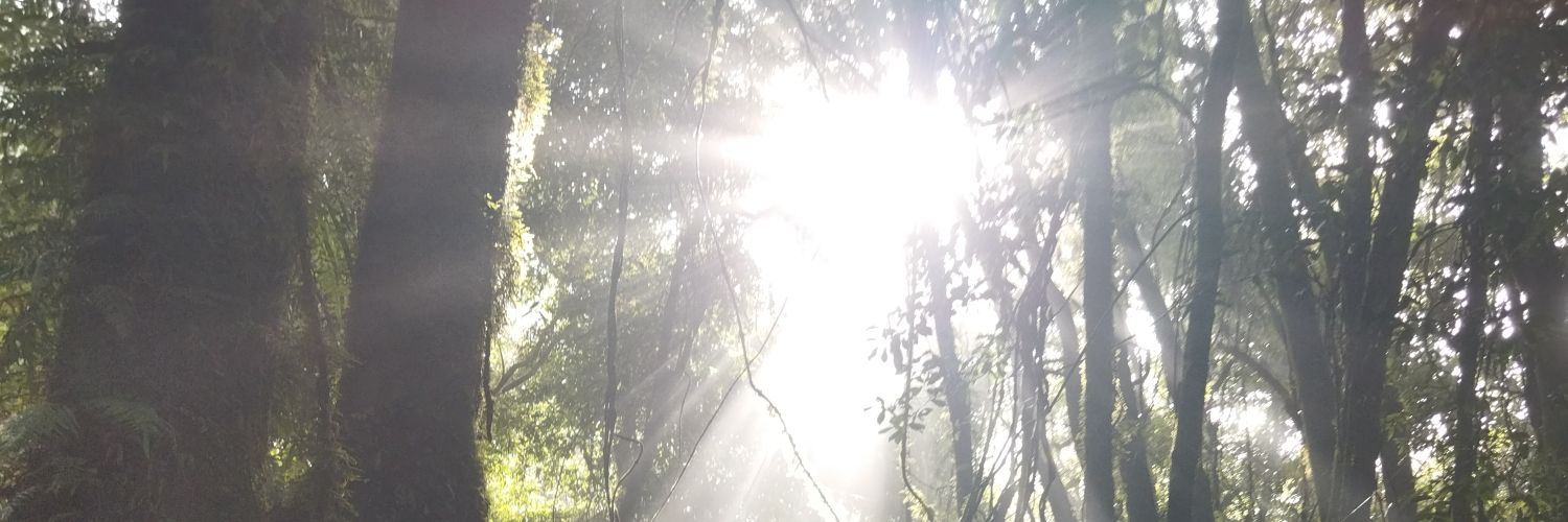 emancipated_D's profile banner image