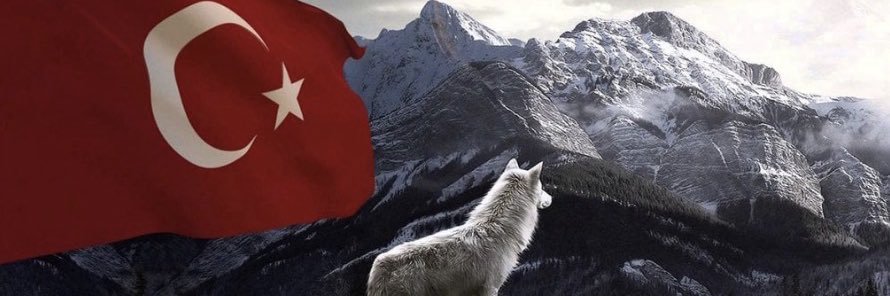 Capitano banner