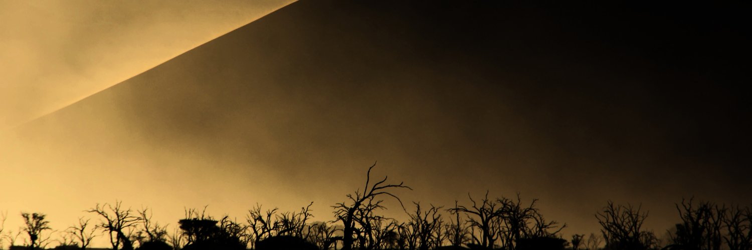 sandcurves's profile banner image