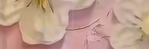 Angel from haven 👼 banner