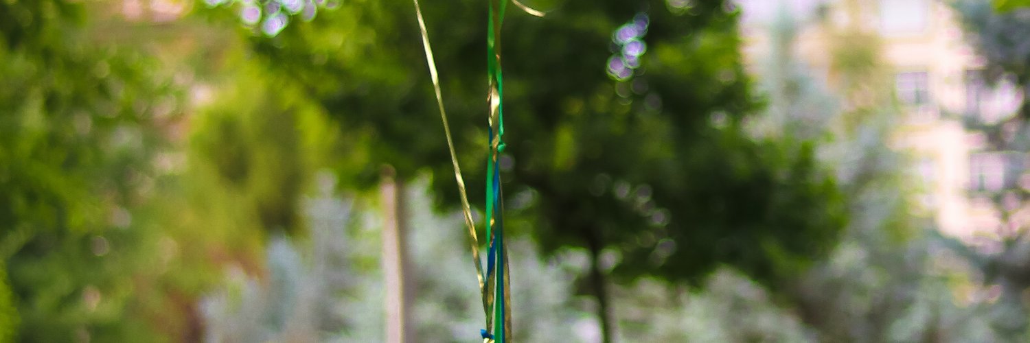 Dela Corzenben banner
