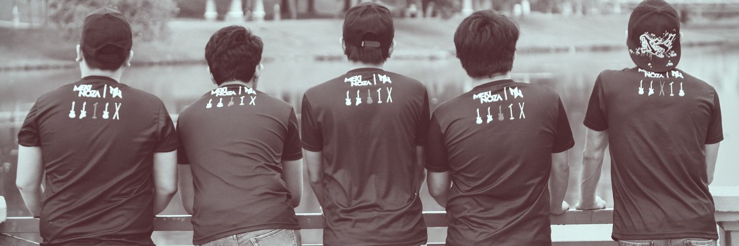 FZi banner